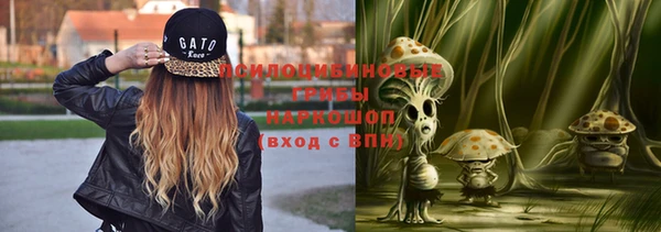 прущие грибы Абинск