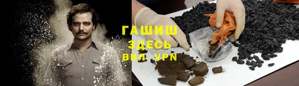 прущие грибы Абинск