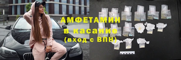 крисы Абаза