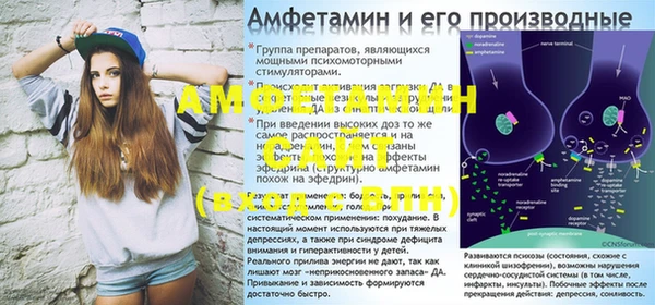 прущие грибы Абинск