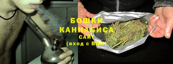 прущие грибы Абинск