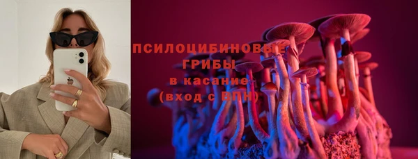 прущие грибы Абинск
