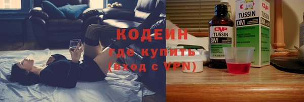 прущие грибы Абинск
