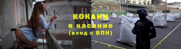 крисы Абаза