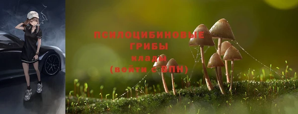 прущие крисы Абдулино