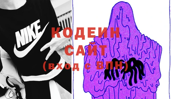 крисы Абаза