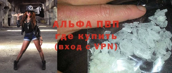 прущие грибы Абинск