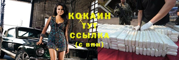крисы Абаза