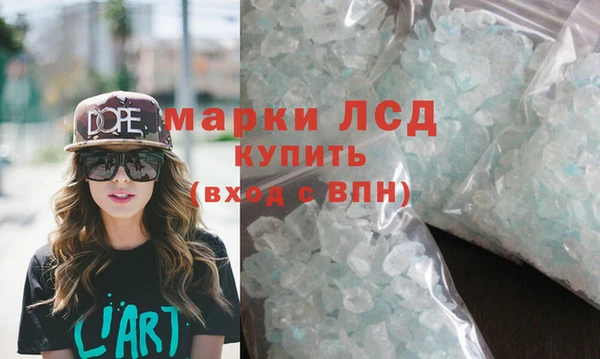прущие грибы Абинск