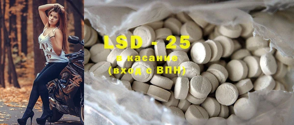 прущие грибы Абинск