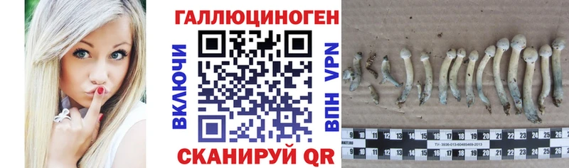 Псилоцибиновые грибы прущие грибы  сколько стоит  Кинешма 