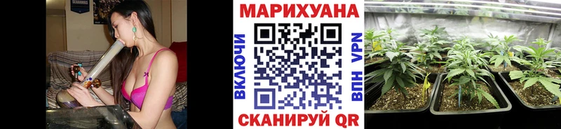 где продают   Кинешма  блэк спрут ссылки  Бошки марихуана марихуана 